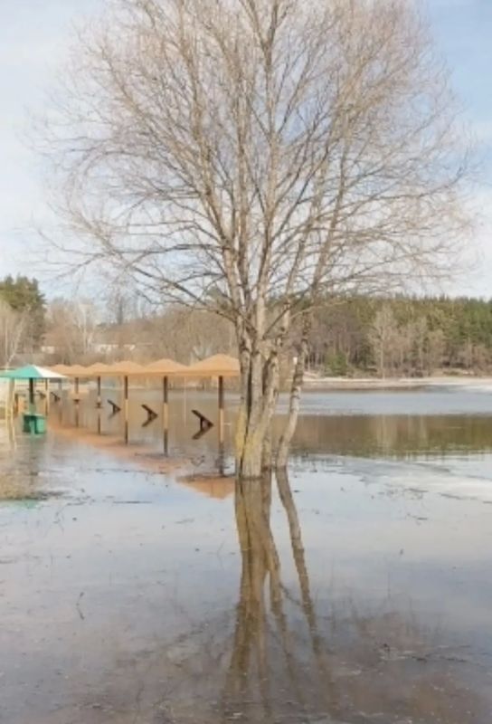 �� ������ �� 14 ������, �������� � �������� � ������� ������� � �������� ����