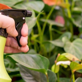 ��� ������� ������ ����� ����������� ���� ��������