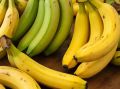 Почему бананы — лучший друг в борьбе со стрессом?