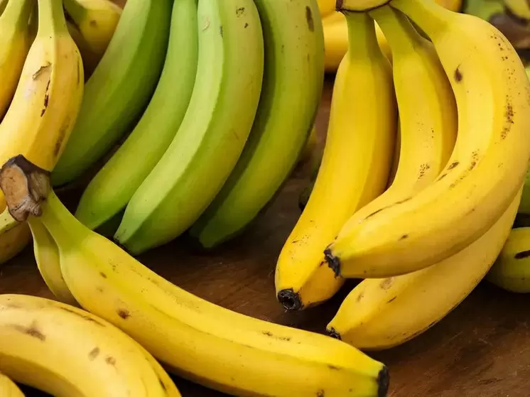 Почему бананы — лучший друг в борьбе со стрессом?