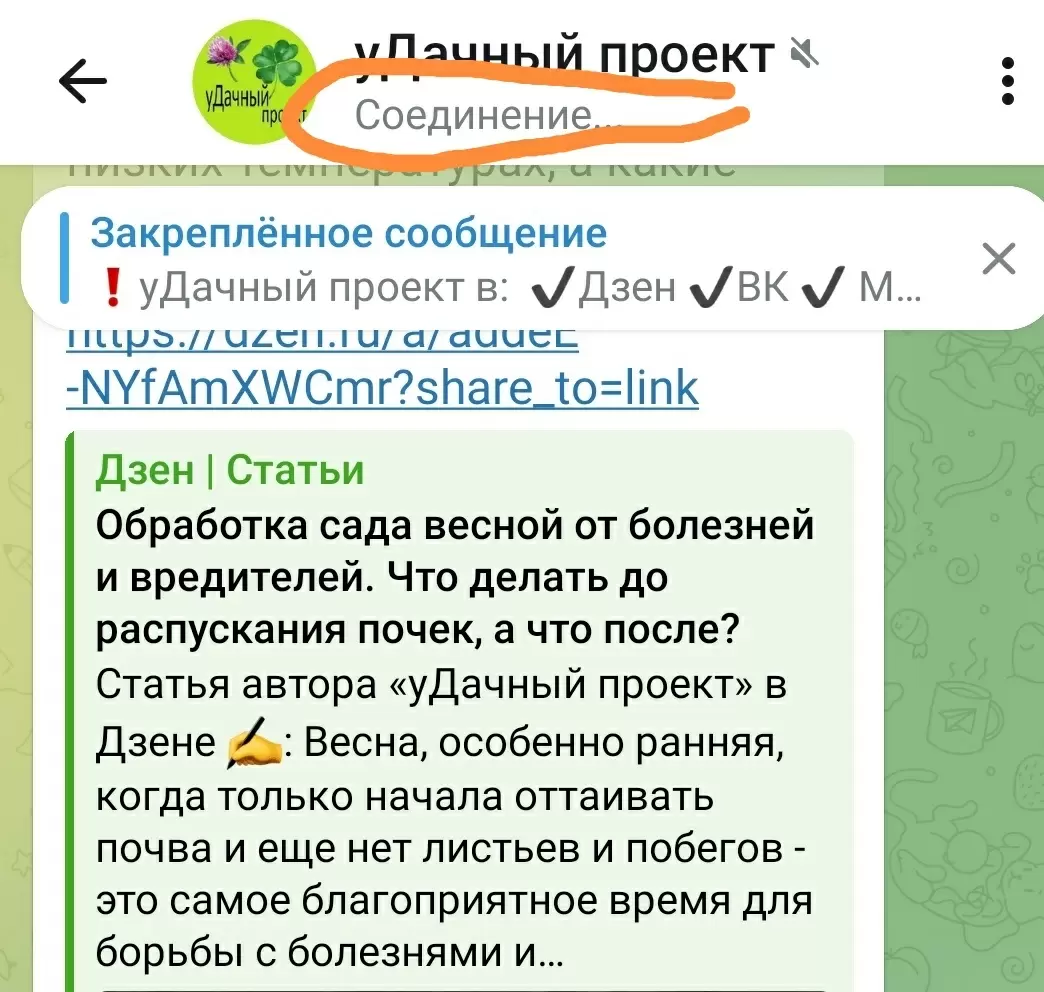 телеграм-канал приостановлен: все новости на вк и макс