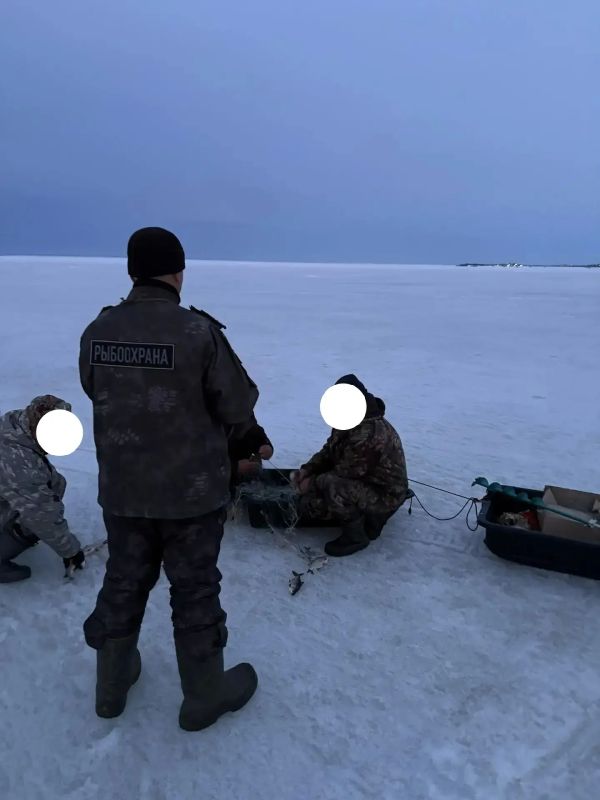 � ����� �� � �������-����������� ������ ����, ���� � ���������