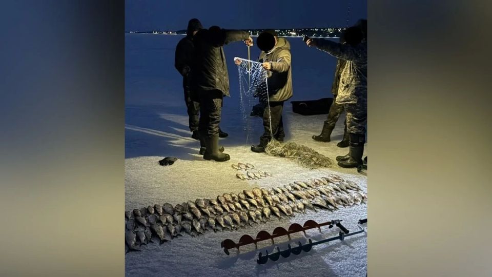 ���������� ����� �� �� ��� ������ ������� 33 ���������