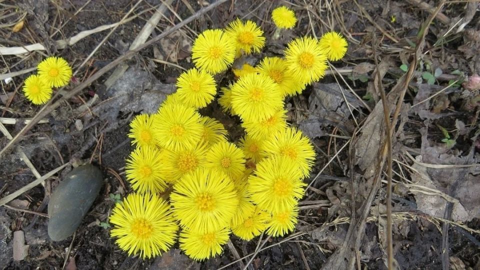 � ����� �� ����� ������� ���������� ������ �����