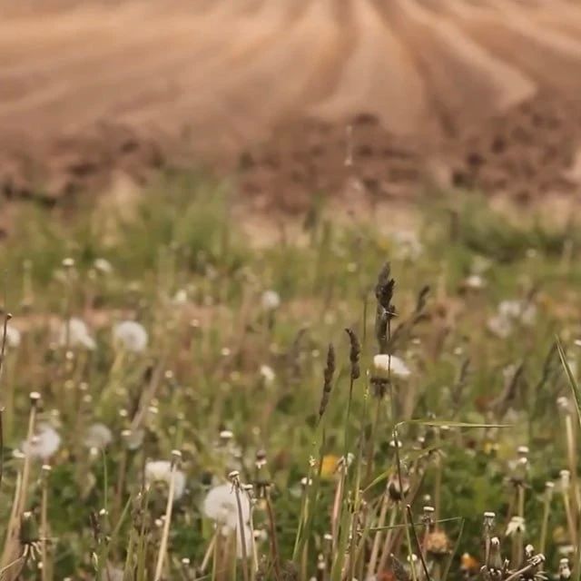 ������ ����! ����� ���� ���� �������� � ������