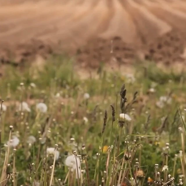 Доброе утро! Пусть этот день начнётся с улыбки