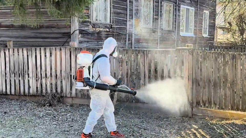 � ������-��� ������������ ���������� ����������� ��������� �������