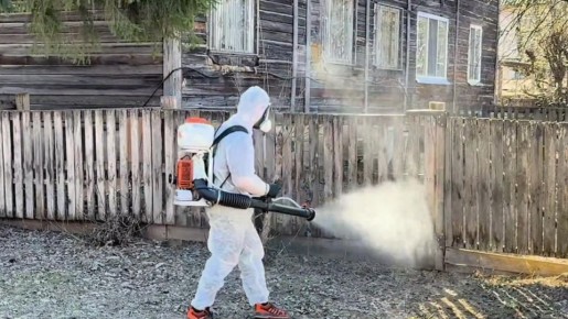 � ������-��� ������������ ���������� ����������� ��������� �������