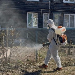 В Йошкар-Оле дезинфицируют подъезды, подвалы и дворы после паводка