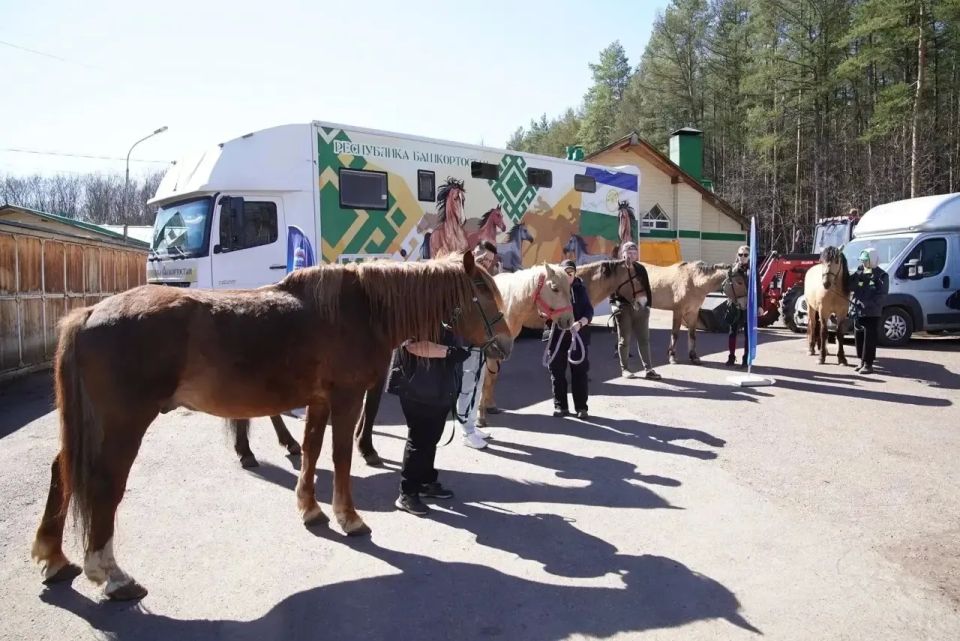 �� ��� � �������� �������� ���������� ��������� 10 �������