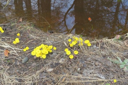 ����� ��������� ��������� ������� � ����������� �������� ������� ������������ � ���������� ������