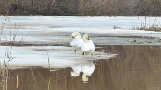 � ����� �� ������������ ������