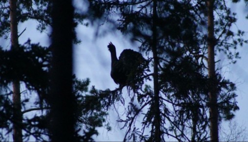 �������� ����� �� ����������� �� ������� �����