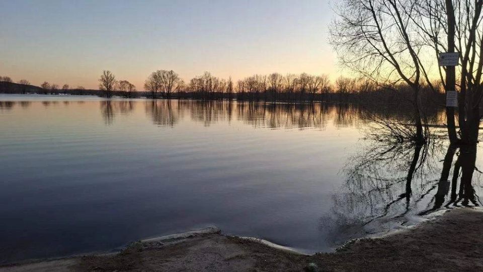 � ���������� �� ����� ���� ������� ���������������� �������� �� ��� �������-�������� �������, ����������� ������� � ���������� �������� ������� � ������