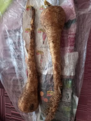 � ����������� �����: ��� �������� ����� �������� � ��������� �������