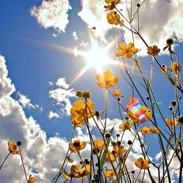 ������ ����! ��������� ����� � � ��������