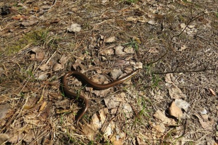 � ������������ ����� � ����������� �������� ������� ����� �������� ������ �����