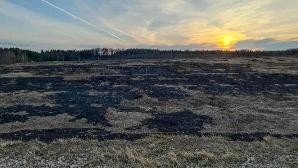 � ����� �� ��� ����� ����� �����