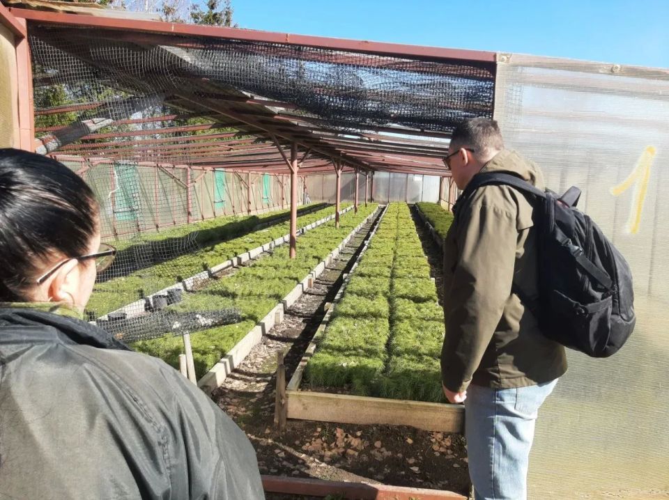 �������� ��� � ����������� ������� ���������� ����������� ���� � ����� ��