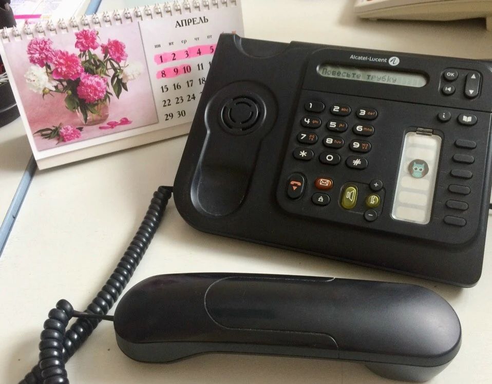 ������ ���������� ������ ������ ���� ������� �� �������� ������