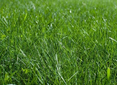 ��� ������������ ��������� ����� �� ����: ������ � ����