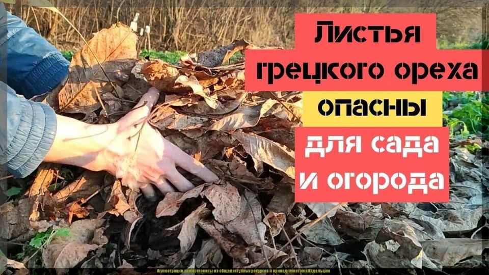 ������� ����: ������� ������ ��� ������ ����