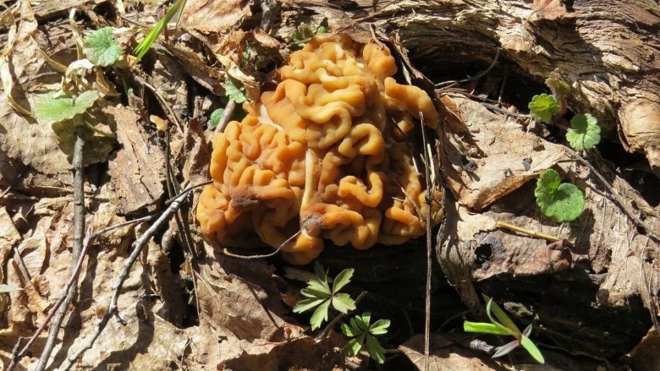 � ����� �� ���������� ������� � ��������� ������ �����