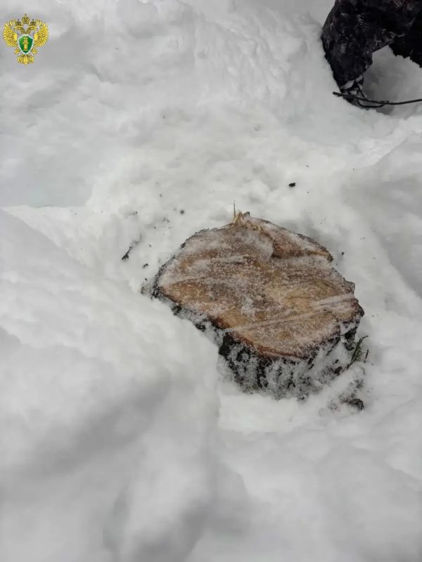 ����������� ������ ������ ��������� ������� �� ���������� ������� ��������