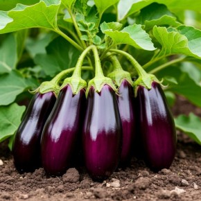 ����� ���������� ��� ��������� ������: ������� ��������� �� ������