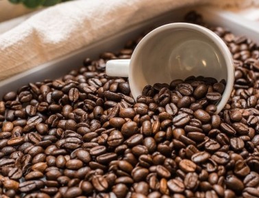 ��� ������� ��������� �������� ����: ������ �������� �������