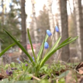 ������ ����! �������� � �� ������ ������� �� �������