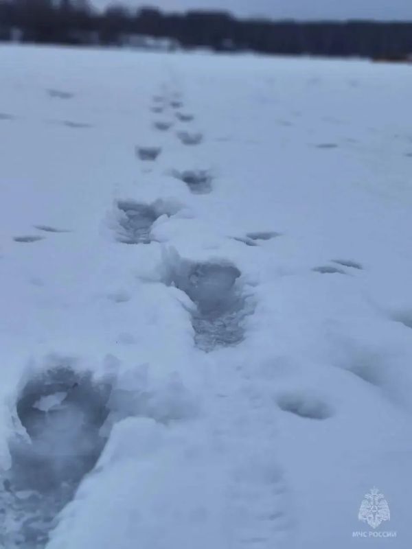 �������� !. ����� � ���� 20 ������ ��������� ������ ��������� ������: ������� ����, ������ ���� � �����;