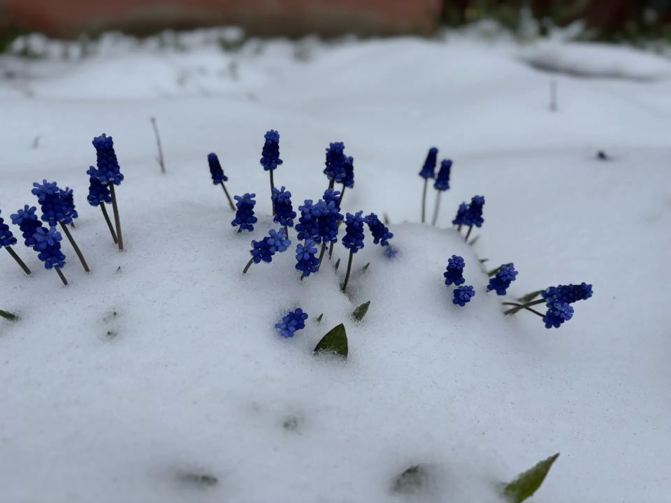 ����� 21 ������ ������� �� ����� �� ��������� ������� ����, ������� ������ ���� � �����, � ���� ��������� ��������, ������� ����� ���������