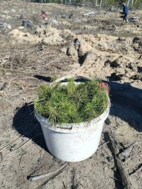 � ����� �� ��������� ����� ��������������������� �����