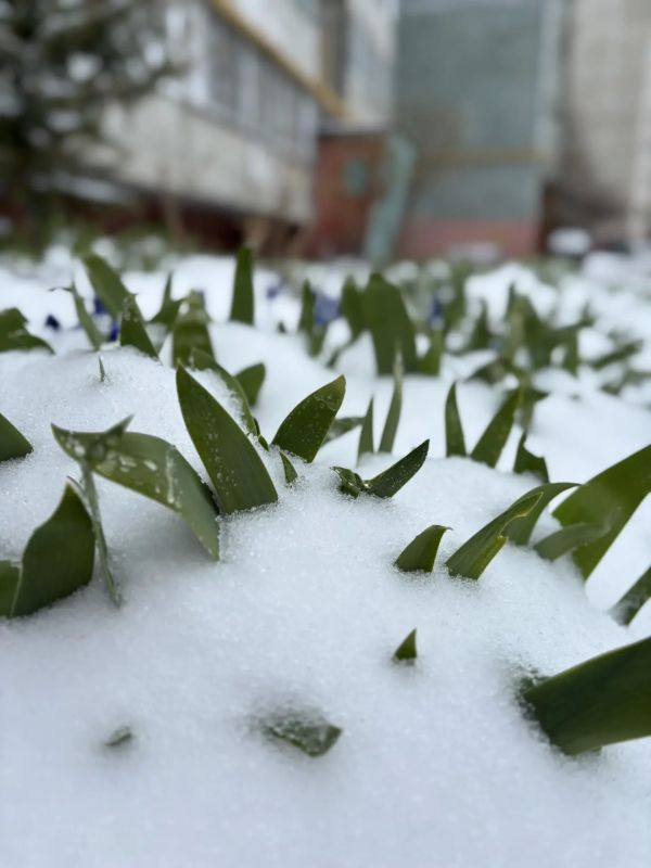 ������� � ����� �� �������� ������, ����� ������� ������ � ���� �����, ������� �����, �����, ���� ��������� ������ � ���� �����, ������� �����, ������� �������