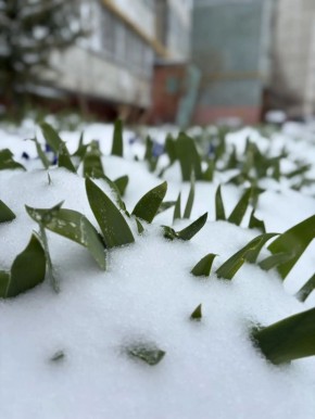 ������� � ����� �� �������� ������, ����� ������� ������ � ���� �����, ������� �����, �����, ���� ��������� ������ � ���� �����, ������� �����, ������� �������