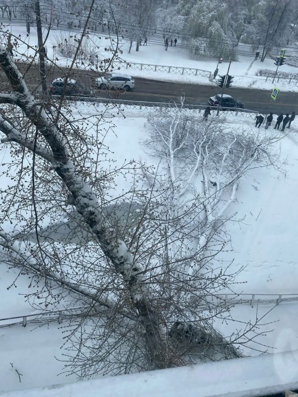 ������ ������-��� ��������� ���� ���������� �������� ��-�� �������� �� ������ �������