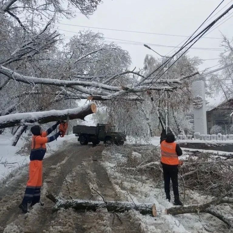 ���� ���� ������-��� ����� �������� ���������������� �������� � �������� �������� �������� � �����, � ����� ������������ � ������� ������� ��������