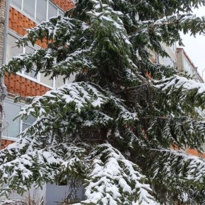 �������, 21 ������, ����� �� �������� ��� ��������� � ������ ������