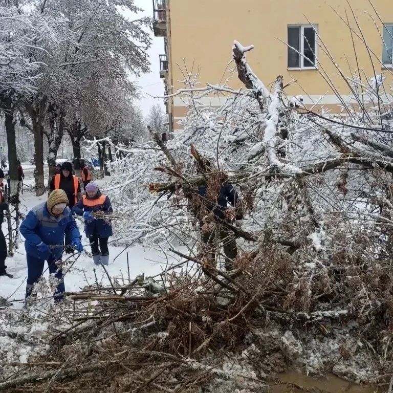 ���� ���������? �������������� ������� ����� � ����!