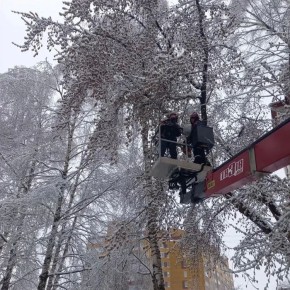 ����� ��������: � �������� �� ���������� ����������� �������� � ������-���