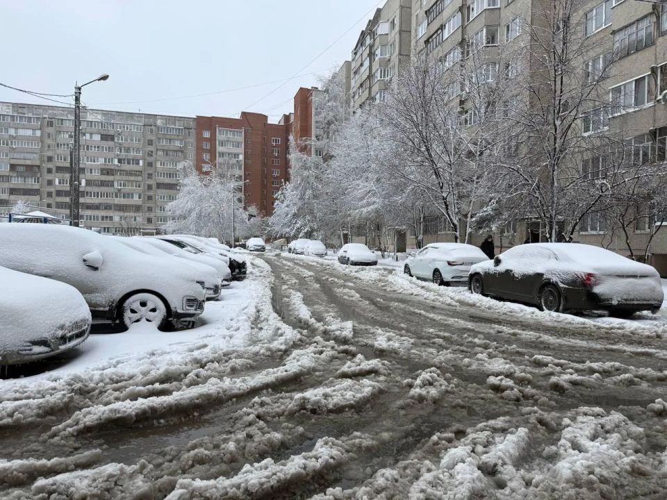 � ����� �� ������������ ����� ������� ���������� ������� � ����������� ������