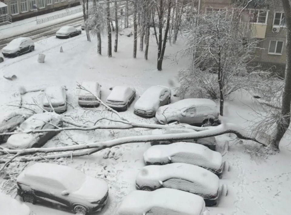 ��� ����� ���� �������� �������� � ���� ��������