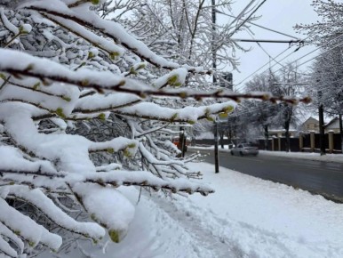 ������� � ����� �� �������� � ������������ ������, ����� ��������� ������ � ���� �����, ������� �����, ���� ��������������� ��� �������