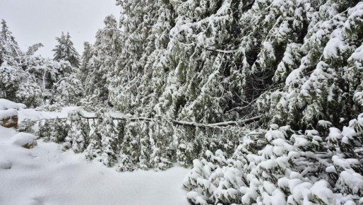 ��������� ��������� ���� ������� ������-��������� ������� ������������ ����