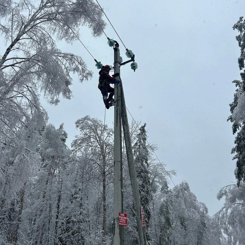 ���������� ����������� ������������ ���������� �������� ���������������� ������������ ����������