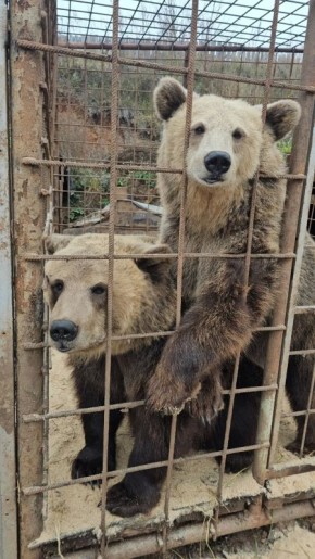 � ��������� ������ ����� �� �������� ���������������� ����� ��� ����� ��������