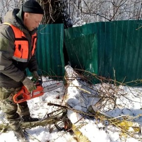 ������-��� ������� � �������� ��������� � �����