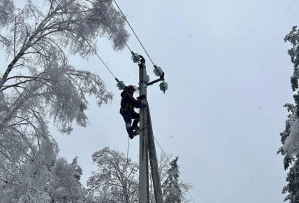 � ����� �� ����������� �������� ��������� 64 ������� �����������: 216 ������������ � 97 ������ �����������