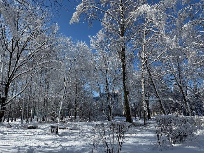 � ����������� ����� ������-��� ����������� ��������� ������� ��������